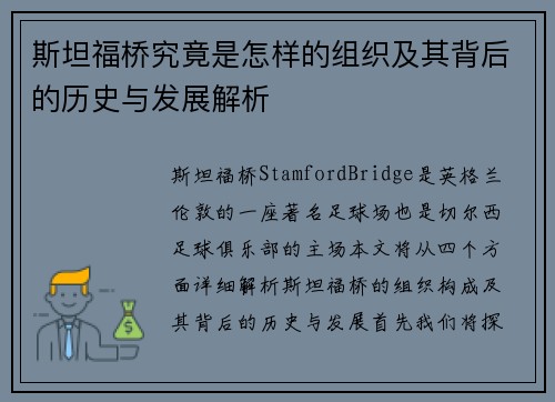 斯坦福桥究竟是怎样的组织及其背后的历史与发展解析 斯坦福桥究竟是怎样的组织及其背后的历史与发展解析